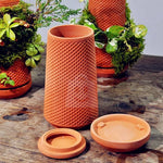 HIVEPLANT | Vaso hidropônico para sementes e plantas