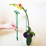 STEM PLANT | Kit hastes com estaca para flores 27cm